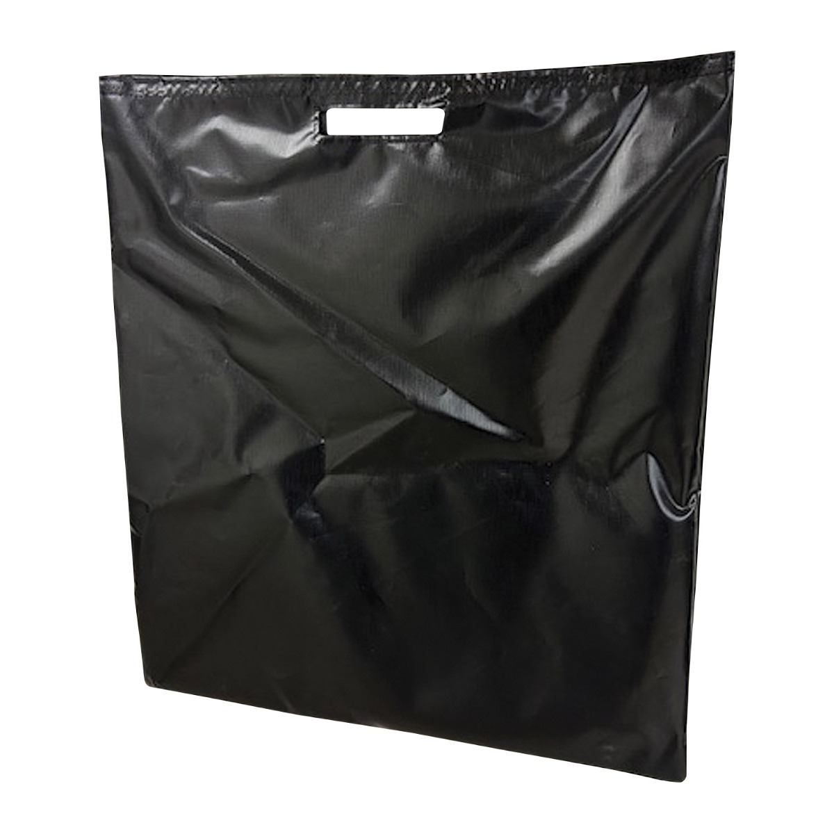 Carry Bag for Bowling Ramp & Poss-i-Bowl