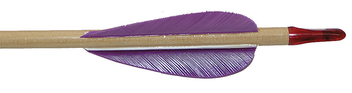 Port Oxford Cedar Archery Arrows
