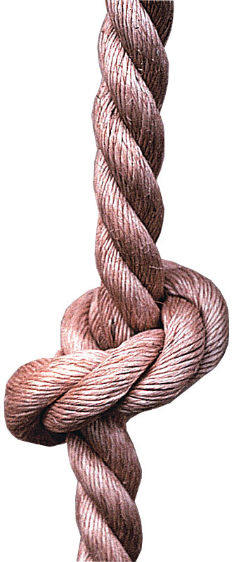 22' Polyplus Climbing Rope w/Begin.Knots
