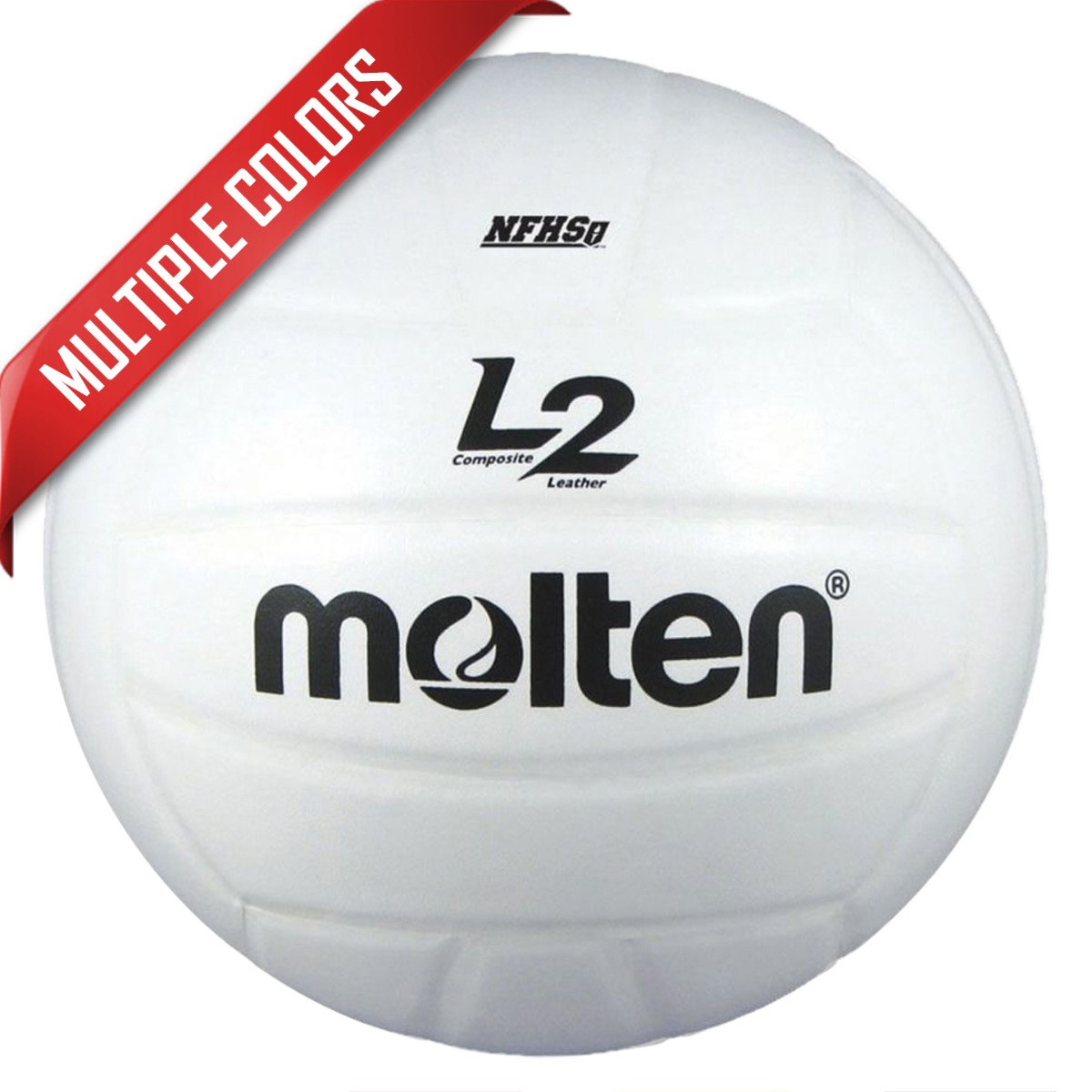 Molten L2 Composite Volleyballs
