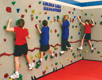 40'W x 8'H Climbing Wall w/200 Holds