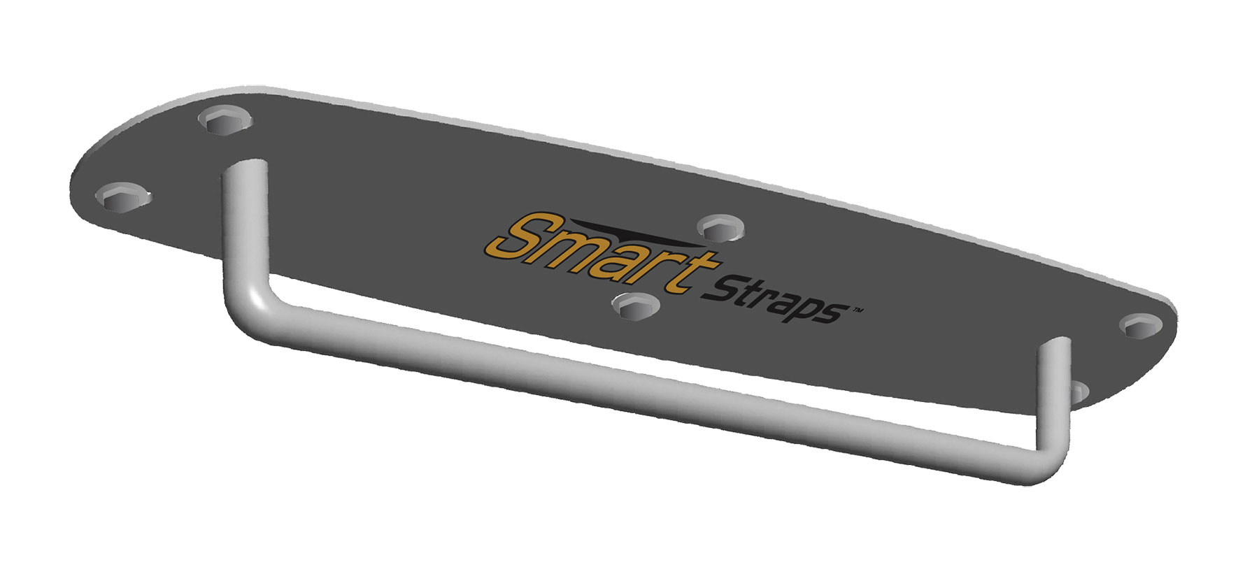 Smart Strap Ceiling/Wall Mount